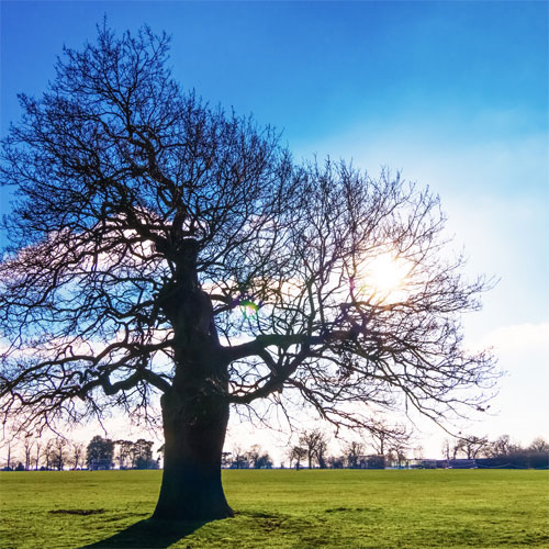 Student in Square 4 circa 1972 -essex